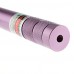 Фонарик форме 405 фиолетовый лазерный указатель (1xCR2)